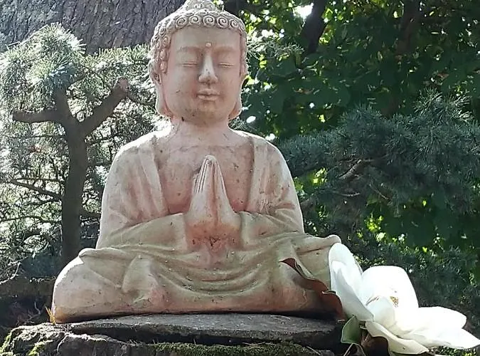 L'ecrin De Affittacamere Launac