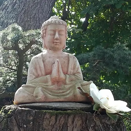 L'ecrin De ゲストハウス Launac